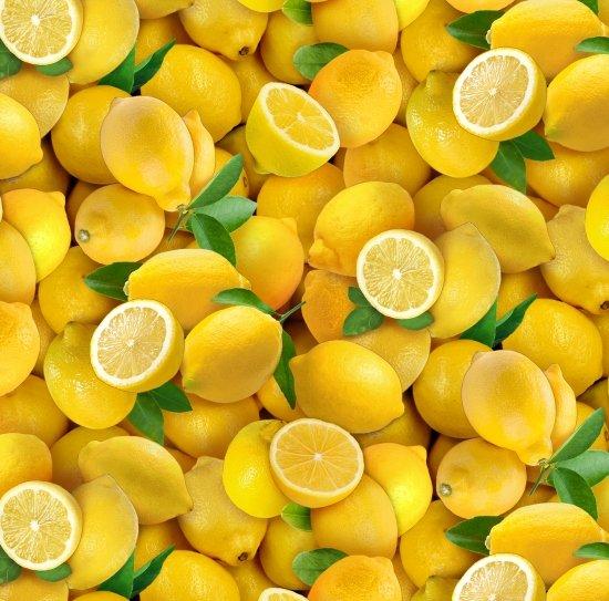 Food_Festival-Yellow_Lemons_483-Yellow_Cotton_Fabric